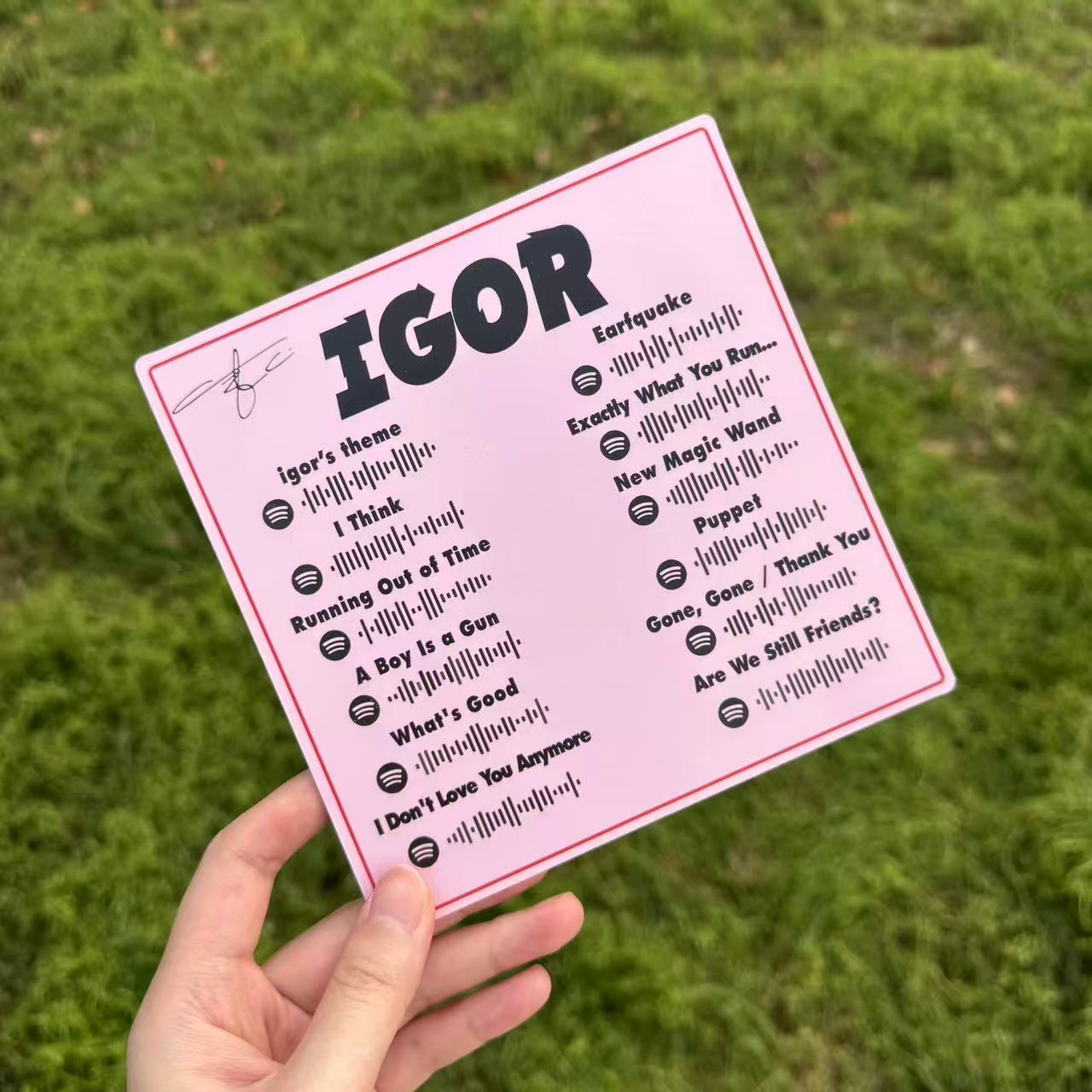 Tyler the Creator - IGOR